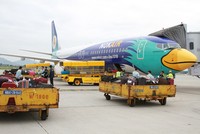 Noibai Cargo (NCT) chốt danh sách cổ đông trả cổ tức 50% bằng tiền mặt