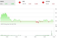 Phiên chiều 17/5: “Ông lớn” đuối sức, VN-Index chưa thể chinh phục mốc 980 điểm
