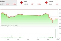 Phiên chiều 3/6: Thị trường chìm trong sắc đỏ, VN-Index mất hơn 13 điểm