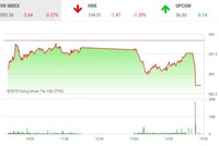 Phiên chiều 21/10: Họ FLC bay cao, VN-Index rơi sâu