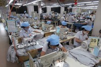 Dệt may 29/3 (HCB) tạm ứng cổ tức đợt 2/2019 bằng tiền, tỷ lệ 20%