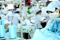 Thị giá chỉ 700 đồng/CP, May Xuất khẩu Phan Thiết (PTG) chia cổ tức khủng 150% bằng tiền