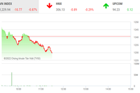 Giao dịch chứng khoán sáng 23/5: VN-Index mất hơn 10 điểm, nhóm thủy sản lại dậy sóng
