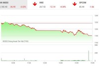 Giao dịch chứng khoán chiều 20/6: Thị trường lao dốc, hàng trăm mã nằm sàn