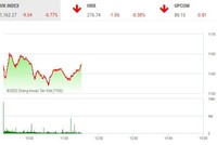 Giao dịch chứng khoán sáng 11/7: Nhóm Vingroup “ép” thị trường