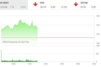 Giao dịch chứng khoán sáng 29/7: Lực bán gia tăng, thị trường hụt hơi