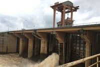 Thêm một công ty con của IDICO (IDC) chia cổ tức 20% bằng tiền mặt