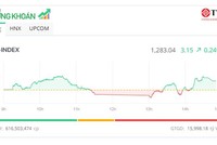 Cổ phiếu HVN “leo” đỉnh, VN-Index tăng điểm phiên thứ 5 liên tiếp