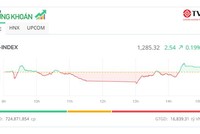 Bank - chứng - thép giúp thị trường hồi phục, cổ phiếu APH bị bán tháo