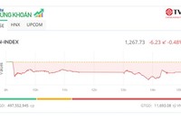 Thanh khoản cạn kiệt, thị trường lại chìm trong sắc đỏ