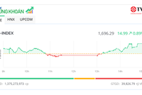 Cổ phiếu thép nổi sóng, VN-Index tiến sát mốc 1.700 điểm