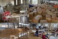 Xưởng miến của Hợp tác xã Việt Cường ngập hoàn toàn trong nước lũ