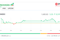 Dòng bank giúp thị trường giữa sắc xanh, cổ phiếu vừa và nhỏ nổi sóng