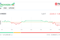 Nhiều cổ phiếu bất động sản giảm sàn, VN-Index mất hơn 20 điểm