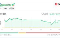 VN-Index vượt mốc 1.750 điểm, nhiều mã nhỏ dậy sóng