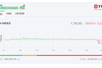 Biến động mạnh ATC, VN-Index giảm gần 40 điểm 