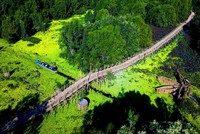 Toàn cảnh cây cầu tre dài nhất Việt Nam