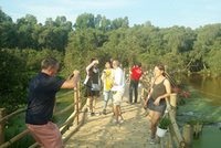 Cầu tre vạn bước Trà Sư- nơi trải nghiệm lý tưởng thu hút du khách