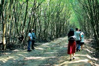 Du lịch Cần Giờ là tour thí điểm mở cửa đón khách trở lại sau thời gian dài du lịch TP.HCM đóng băng vì Covid-19