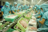 Cổ phiếu lập đỉnh mới khi thị trường xuất khẩu thủy sản phục hồi ấn tượng