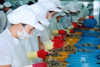 Công ty cổ phần thủy sản Bạc Liêu đã có lãi trở lại sau 5 quý liên tiếp thua lỗ.