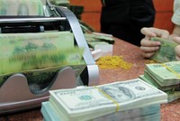 Điều hành tỷ giá cũng cần nghệ thuật