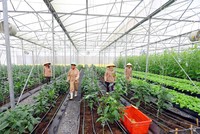 Hội nghị Thượng đỉnh Kinh doanh Việt Nam 2017: Cuộc kết nối đỉnh cao