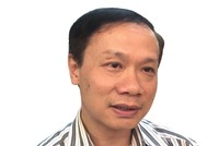 Doanh nghiệp muốn phát triển, làm ăn lâu dài thì nên thực hiện đầy đủ nghĩa vụ, quyền lợi, trách nhiệm của mình trong việc đóng bảo hiểm cho người lao động.