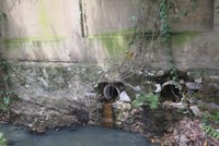 (Ảnh minh họa: Mạnh Minh/TTXVN)