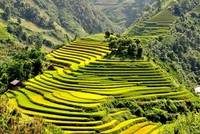 Ảnh minh hoạ. Nguồn: Internet.