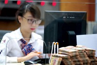 Nếu tính tỷ lệ an toàn vốn theo Basel, một số nhà băng có thể vi phạm tỷ lệ an toàn.