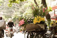 Màu của mùa Thu