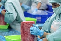 Mối lo doanh nghiệp yếu