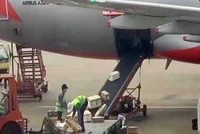 Hai nhân viên Jetstar bị sa thải vì quăng hành lý của khách