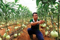 Dòng tín dụng được khơi thông đang trải dài cơ hội cho doanh nghiệp ngành nông nghiệp.