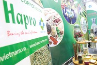 Tại Hapro, một cổ đông chiến lược và hai cổ đông lớn sở hữu tổng cộng gần 98% vốn điều lệ.