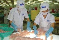 Niên độ 2018 - 2019, HVG dự kiến đạt lợi nhuận trước thuế hợp nhất 100 tỷ đồng.