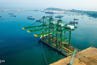 Khu vực cảng chuyên dụng Doosan Vina, Khu kinh tế Dung Quất. Ảnh: Minh Hoàng.