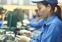 Cẩn trọng nhập siêu