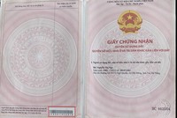 Giấy chứng nhận quyền sử dụng đất ghi tên bà Nga dùng để thế chấp, vay tiền của bà Thanh H. không có trong hồ sơ lưu trữ của Văn phòng quản lý đất đai địa phương.