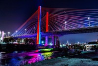 Diện mạo mới của cây cầu Kosciuszko từng bị ghét nhất New York (Mỹ). Ảnh: Curbed NY.