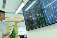 Tìm điểm sáng trong tương lai bấp bênh của thị trường