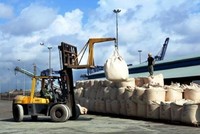 Sự gia tăng của xi măng nhập khẩu, chủ yếu từ Việt Nam đã buộc chính phủ Philippines áp thuế quan đối với nguyên liệu xây dựng này, nhằm bảo vệ ngành công nghiệp trong nước khỏi các doanh nghiệp nước ngoài.