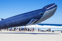 Những người sở hữu lượng bitcoin khổng lồ được gọi là "cá voi" (whales). (Ảnh: arstechnica.com).