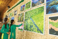 Tăng trưởng cần đi đôi với bảo vệ môi trường sống 