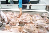 Thịt gà nhập khẩu từ Mỹ được bán trong một siêu thị ở Hà Nội. Ảnh: PV