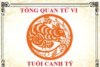 Ảnh Internet