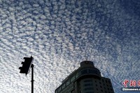 Xuất hiện mây vảy rồng hiếm gặp