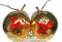 Dừa mạ vàng ở xưởng nhà ông Nguyên. Ảnh: NVCC.