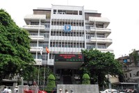 Gần đây, Petrolimex có xu hướng tăng đầu tư tài chính cả ngắn hạn và dài hạn.